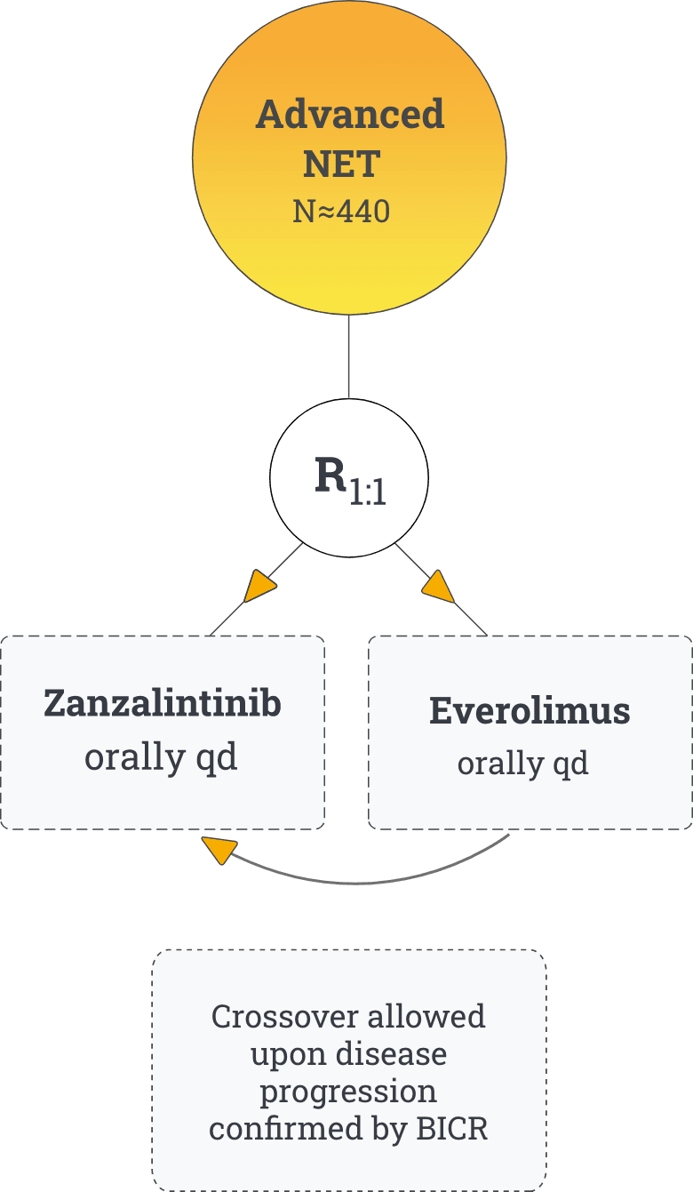 Chart explaining phase 3, randomized, open-label study of zanzalintinib with atezolizumab vs regorafenib in patients with MSS/MSI-low mCRC